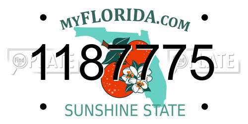 1187775 Florida License Plate
