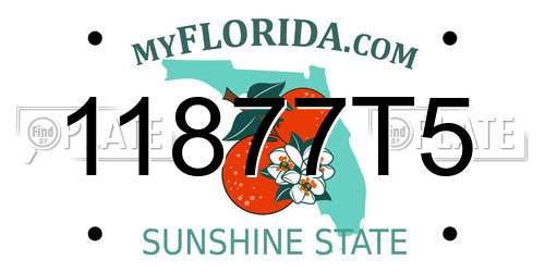 11877T5 Florida License Plate