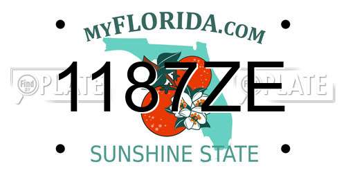 1187ZE Florida License Plate