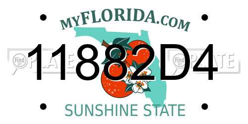 11882D4 Florida License Plate