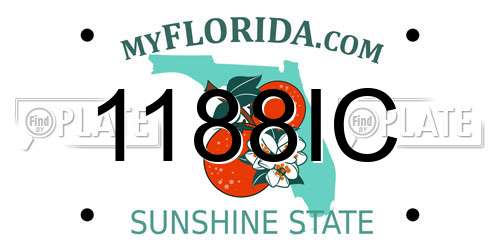 1188IC Florida License Plate