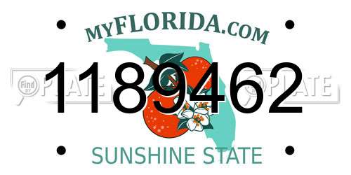 1189462 Florida License Plate