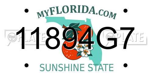 11894G7 Florida License Plate
