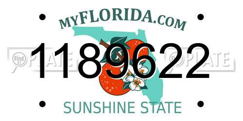1189622 Florida License Plate