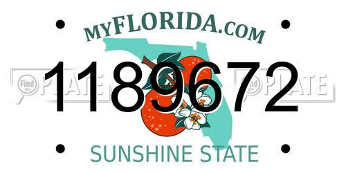 1189672 Florida License Plate