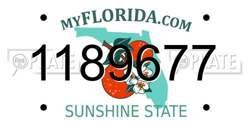 1189677 Florida License Plate