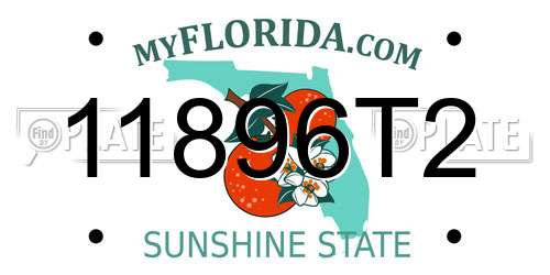 11896T2 Florida License Plate