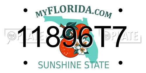 11896T7 Florida License Plate
