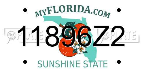 11896Z2 Florida License Plate