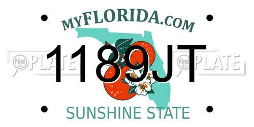1189JT Florida License Plate