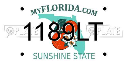 1189LT Florida License Plate