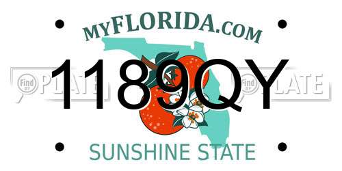 1189QY Florida License Plate