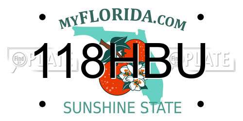 118HBU Florida License Plate