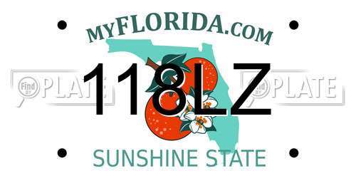 118LZ Florida License Plate