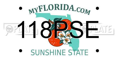 118PSE Florida License Plate