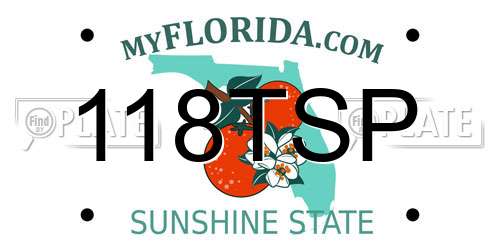 118TSP Florida License Plate