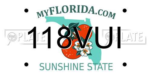 118VUI Florida License Plate