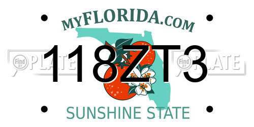 118ZT3 Florida License Plate