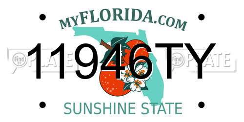 11946TY Florida License Plate
