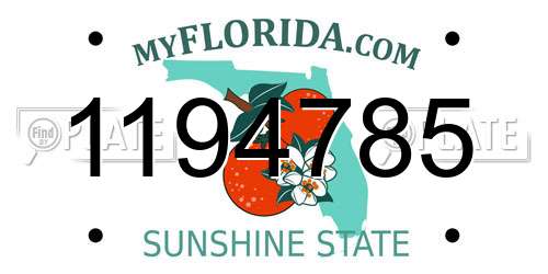 1194785 Florida License Plate