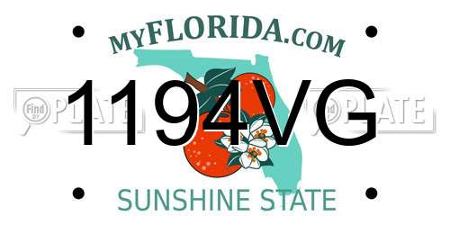 1194VG Florida License Plate