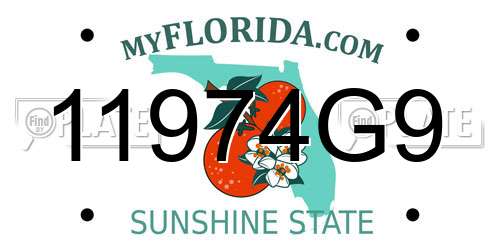 11974G9 Florida License Plate