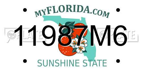 11987M6 Florida License Plate