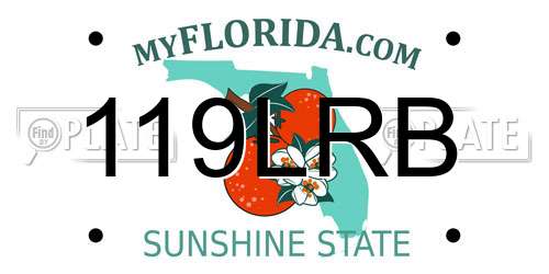 119LRB Florida License Plate