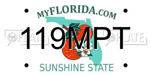 119MPT Florida License Plate