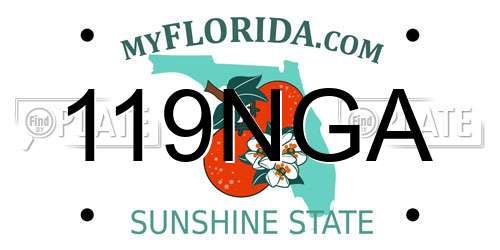 119NGA Florida License Plate