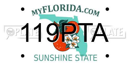 119PTA Florida License Plate