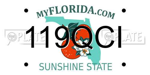 119QCI Florida License Plate
