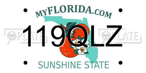 119QLZ Florida License Plate