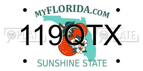 119QTX Florida License Plate