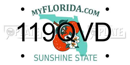 119QVD Florida License Plate