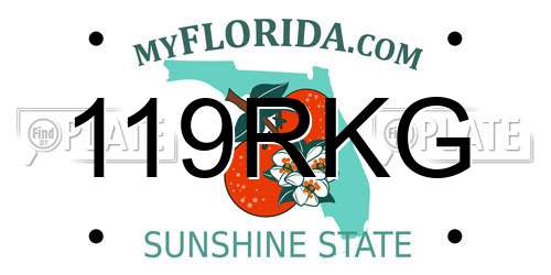 119RKG Florida License Plate