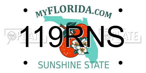 119RNS Florida License Plate