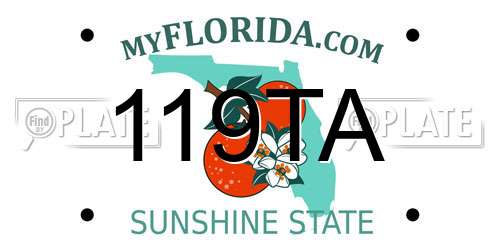 119TA Florida License Plate