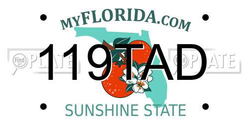 119TAD Florida License Plate