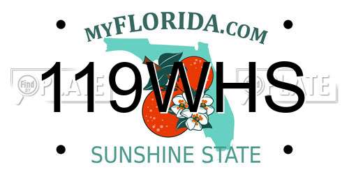 119WHS Florida License Plate