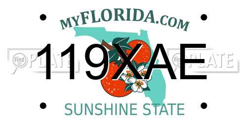 119XAE Florida License Plate