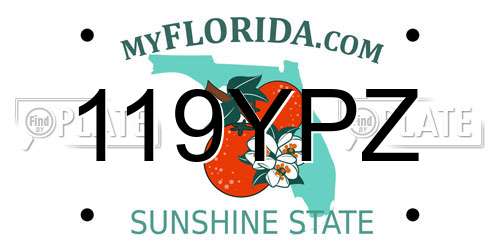 119YPZ Florida License Plate