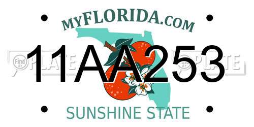 11AA253 Florida License Plate