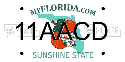 11AACD Florida License Plate
