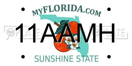 11AAMH Florida License Plate