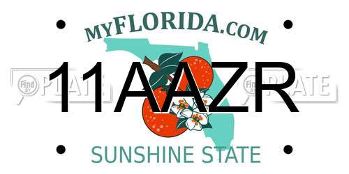 11AAZR Florida License Plate