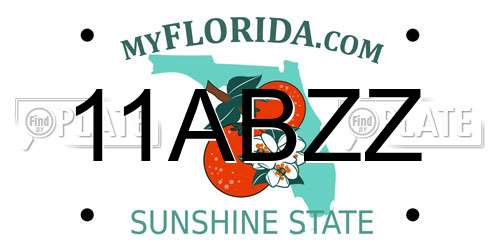 11ABZZ Florida License Plate