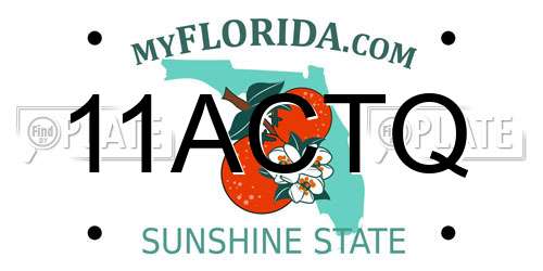 11ACTQ Florida License Plate