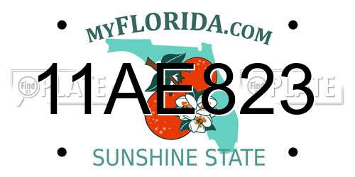 11AE823 Florida License Plate