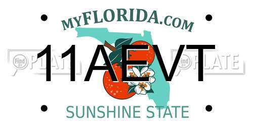 11AEVT Florida License Plate